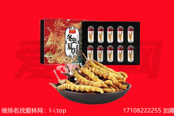 下花园区回收虫草.jpg